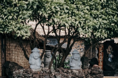 图聚科技